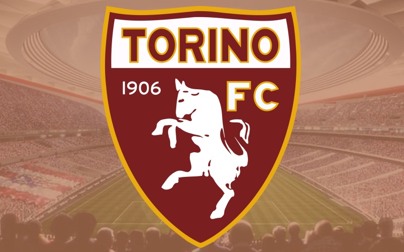 Tiểu Sử Torino